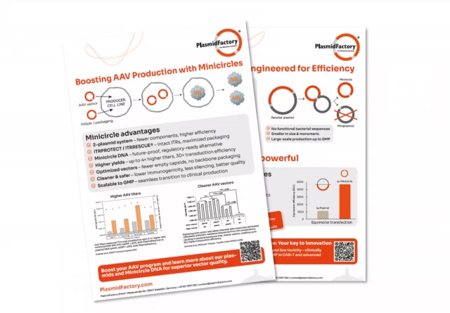 AAV Flyer Product