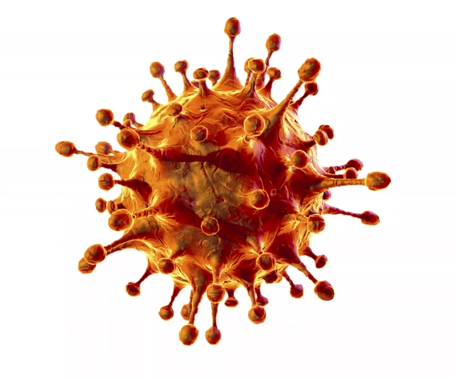 corona-virus___webp_W640_H mRNA vaccines