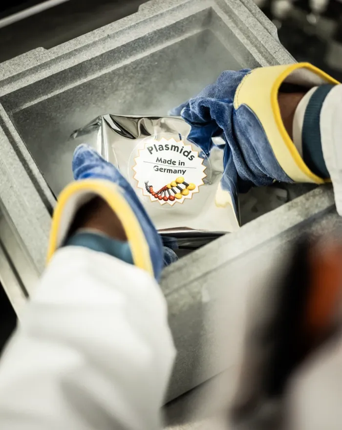 Packaging the plasmids on dry ice for shipping