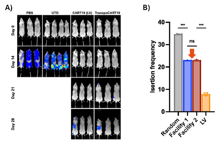 Data Highlights Plasmidfactory 1