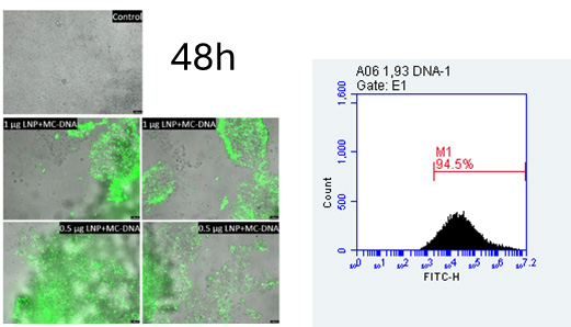 48h data highlights