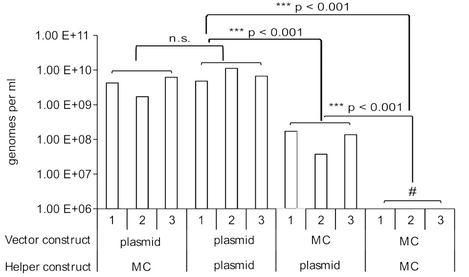 Plasmid Minicircle Data Highlight