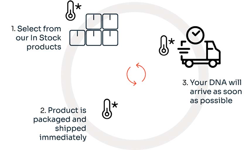 Workflow for ordering off-the-shelf plasmids and minicircles